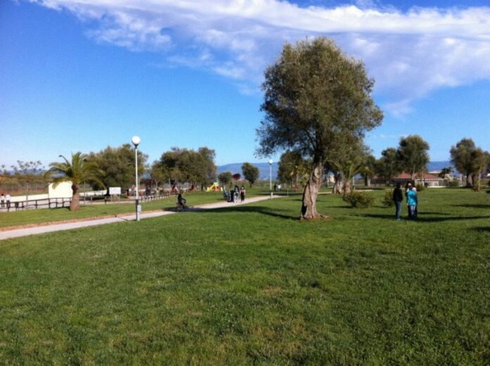 mercato parco vibo valentia