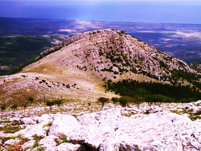 pollino in autunno
