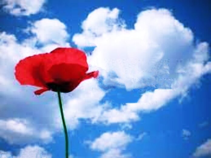 premio-guerino-cittadino-rende