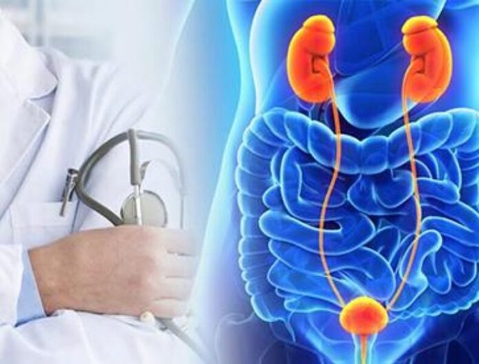 prevenzione malattie urologiche
