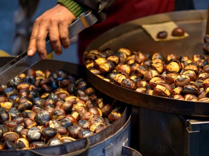 sagra della castagna