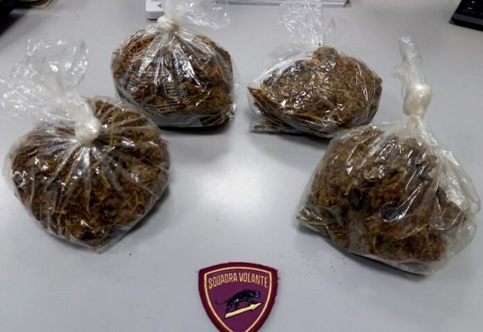 taurianova marijuana e furto energia elettrica