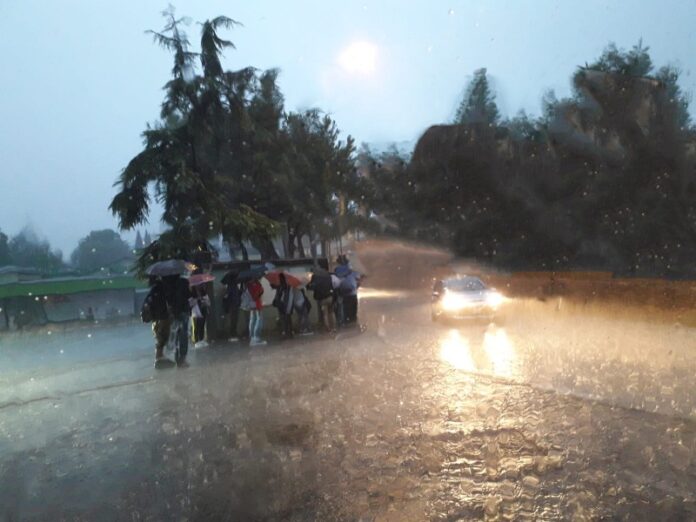 vibo valentia pochi bus senza pensiline