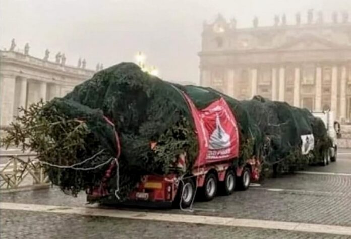 associazioni contro taglio alberi natale