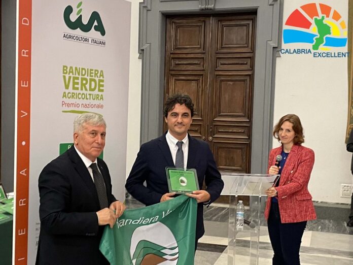 bandiera verde liquirizia