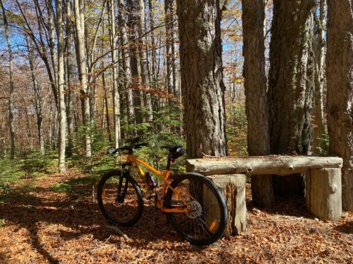 escursioni bicicletta calabria
