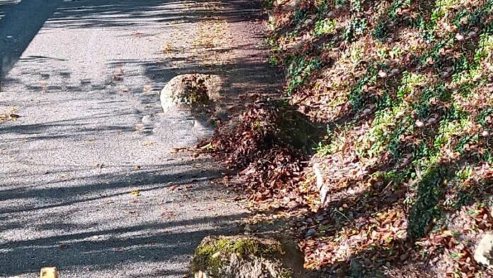 detriti sulle strade maltempo