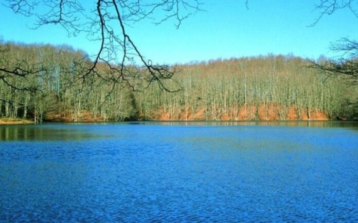estinzione tritone lago >Fagnano Castello