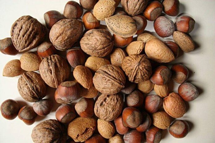 nocciole mandorle noci Calabria