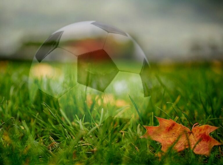 cosenza calcio