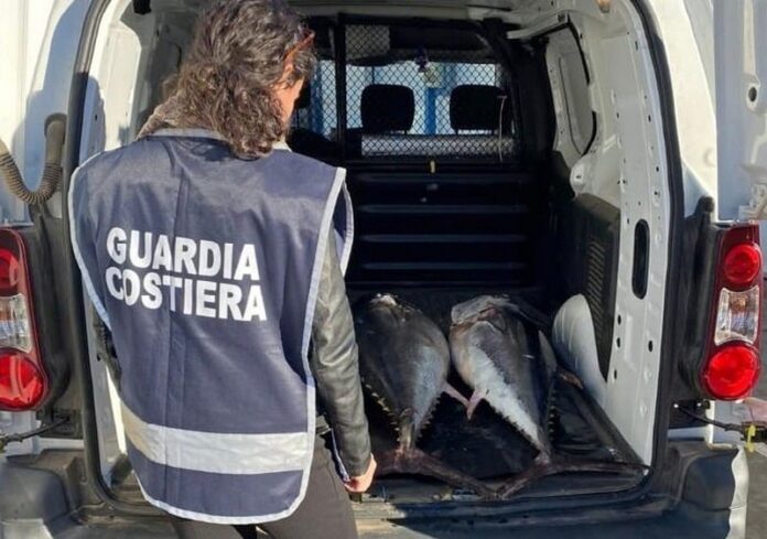 pesca illegale vibo
