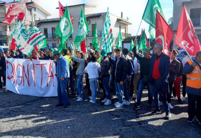 consorzio bonifica trebisacce