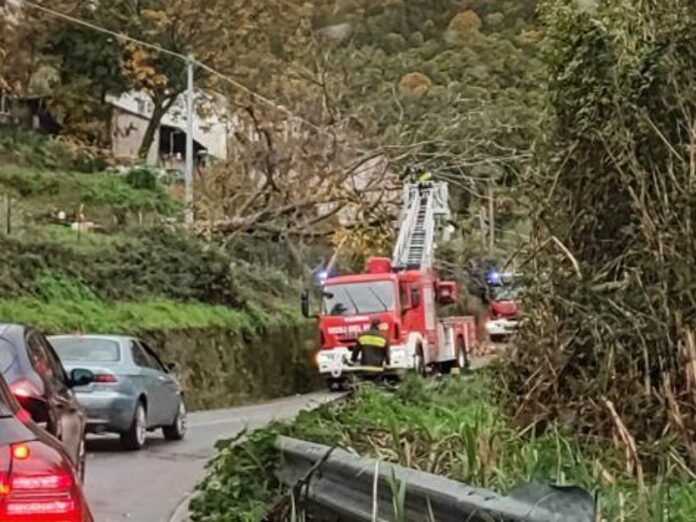 maltempo vento pioggia