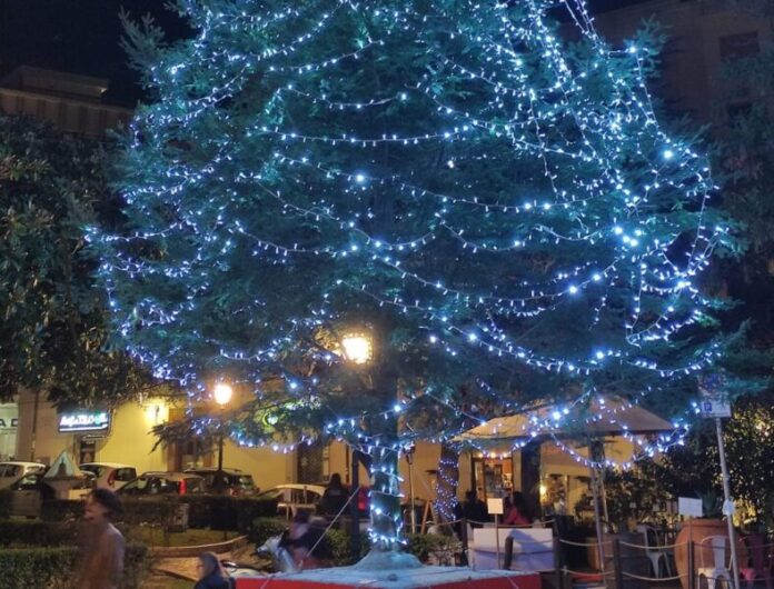 Albero di natale a Catanzaro