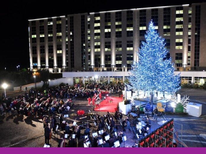 albero di natale cittadella regione calabria