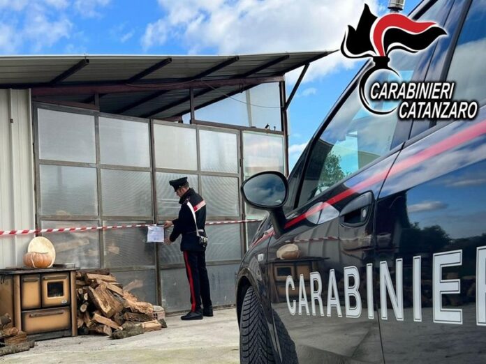 Fitofarmaci illegali imbottigliati in un capannone