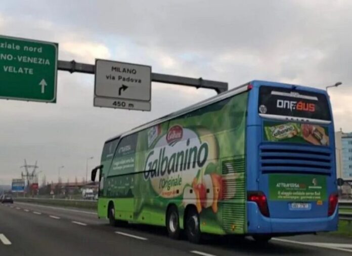 bus fuorisede calabria