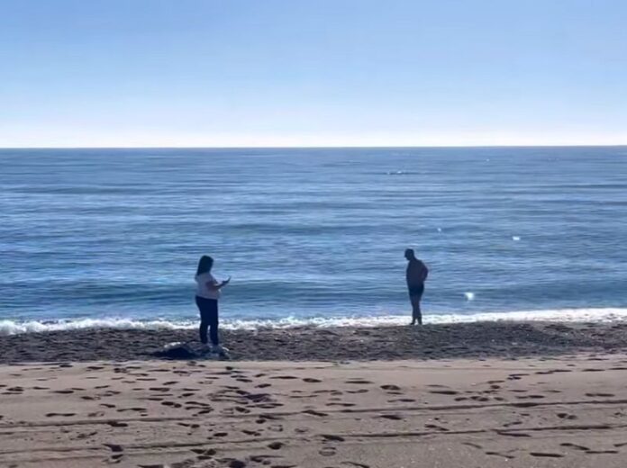 mare calabria natale