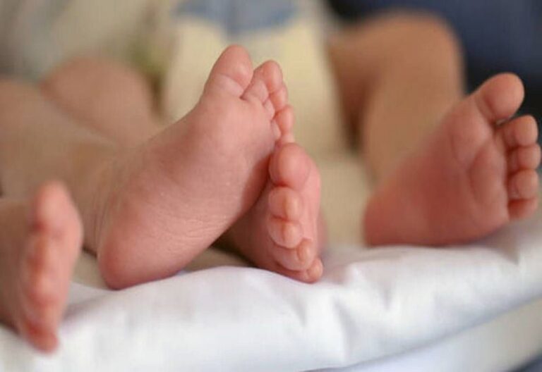 neonate