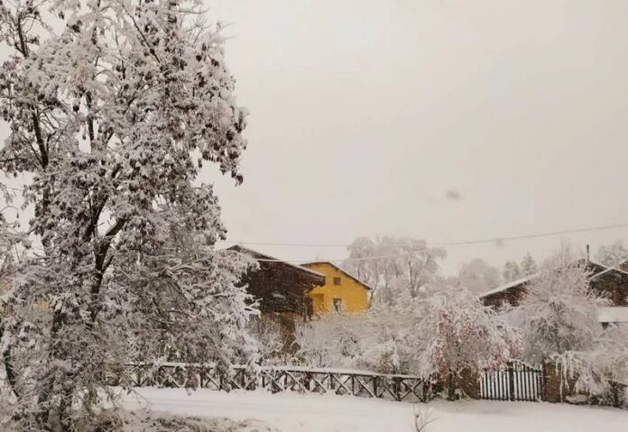 sila neve