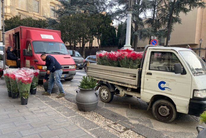 stelle di natale donate a catanzaro