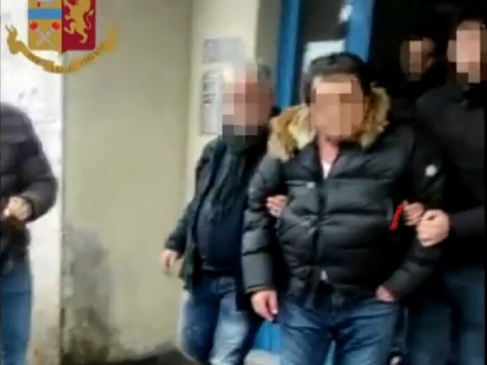 arresto saraco