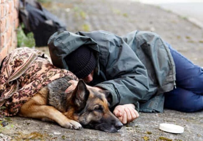 appello aidaa fredo cabi clochard