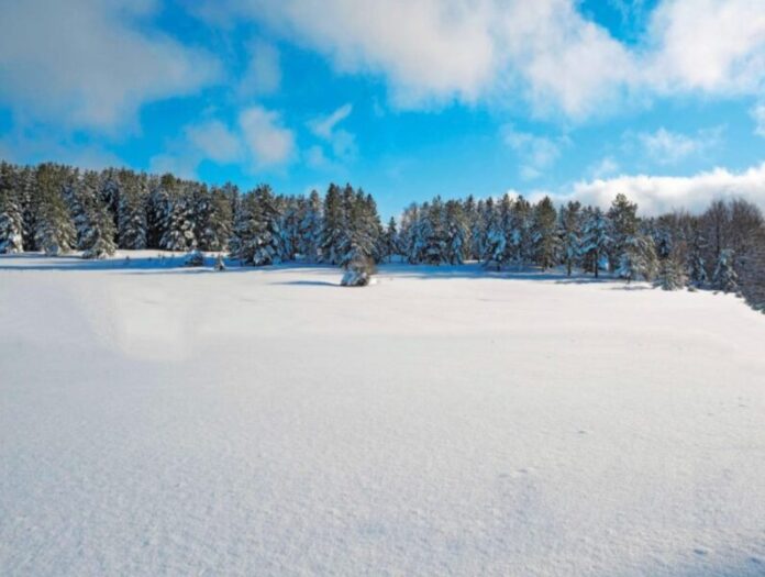 neve sila bellissima