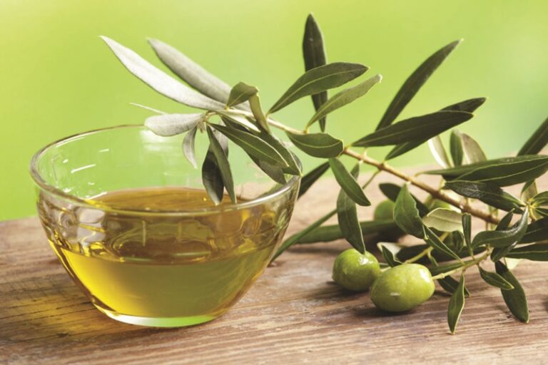 olio calabria