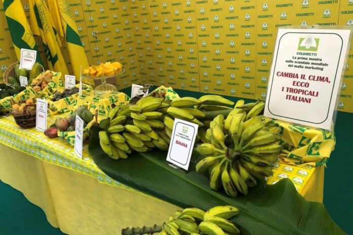 tropicali italiani coldiretti
