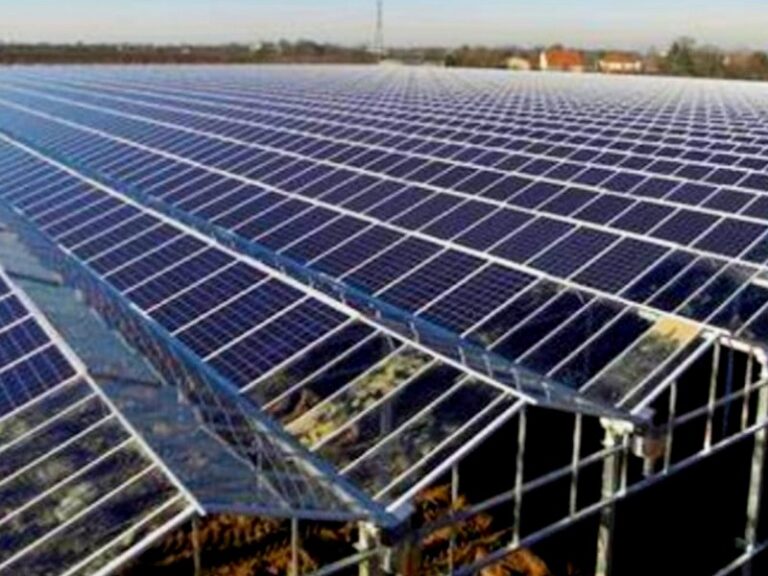 campo fotovoltaico