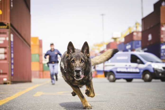 Storia della Polizia di Stato in 500 scatti