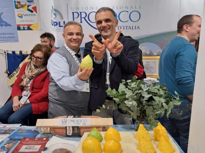 cedro alla bit di milano