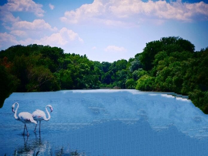 crati riserva museo