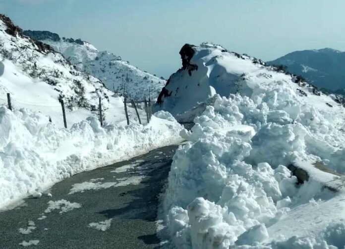 neve bova
