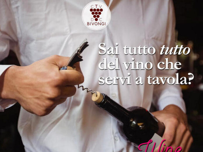 consorzio vino Bivongi