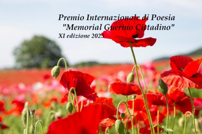 premio internazionale poesia