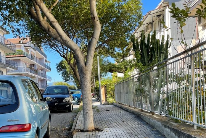 cariati alberi avvelenati