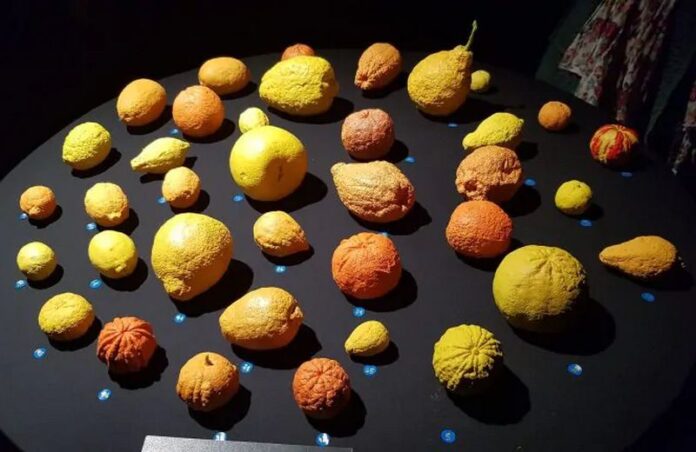 bergamotto reggio calabria in spagna