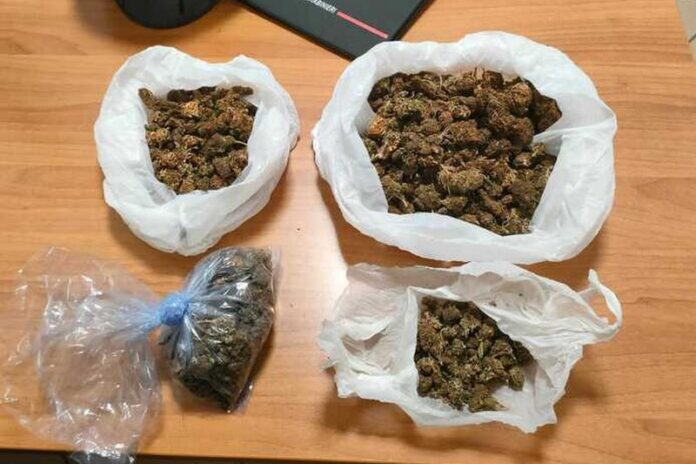 marijuana cassano