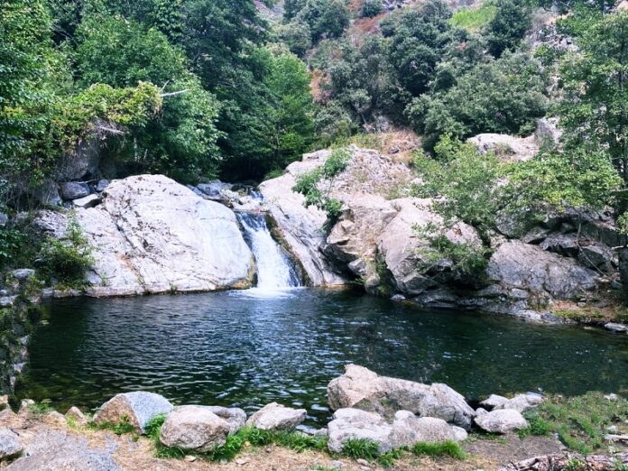 parco flufiale