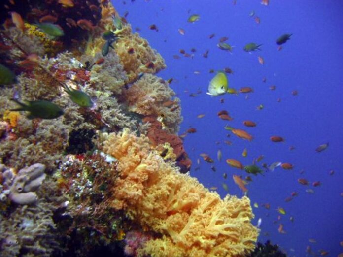 Parco Marino Regionale “Scogli d’Isca”