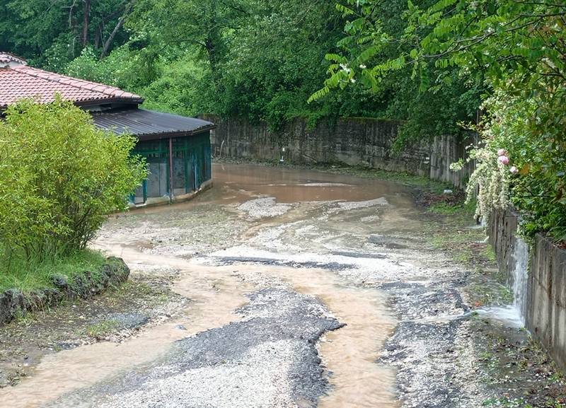 canile donnici allagato