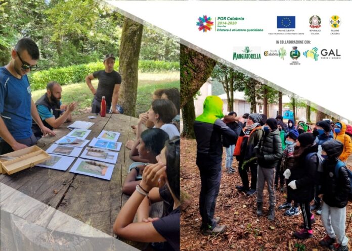 educando all'ambiente scolari