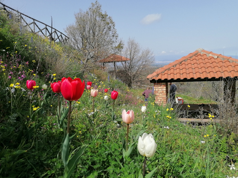 fisica giardino epicureo