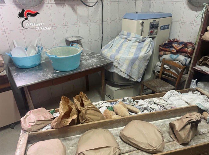 forno abusivo lamezia