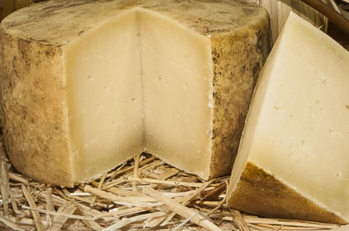 pecorino crotonese