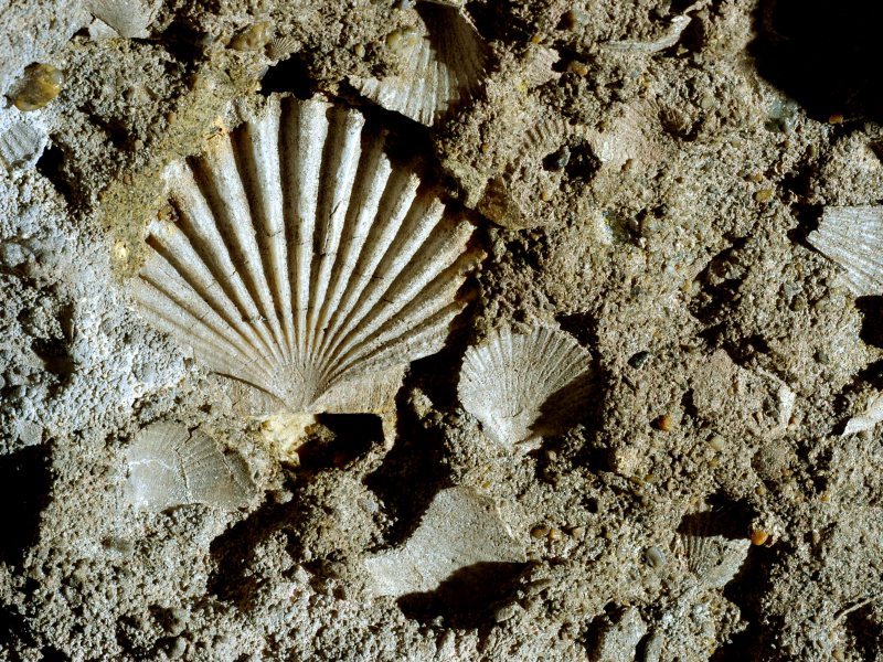 Grotta della Lamia