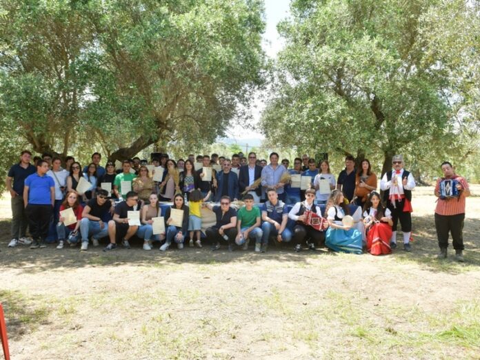 majorana festa grano