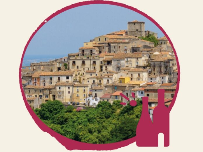 festa vino